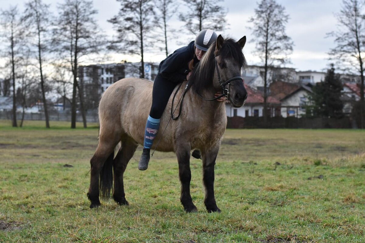На самом деле впервые такое понятие, как "Естественная/Натуральная верховая езда" - ныне всем известная Natural Horsemanship - придумал и стал использовать в свой системе именно Джеми Джексон. Пат Парелли спустя несколько лет всего лишь позаимствовал этот термин и популяризировал его, так как занимался именно тренировкой лошадей в такой системе. В то время как Джеми Джексон в то время гораздо больше посвятил себя копытам лошади и уже позже стал активнее развивать в целом философию естественного ухода за лошадьми.