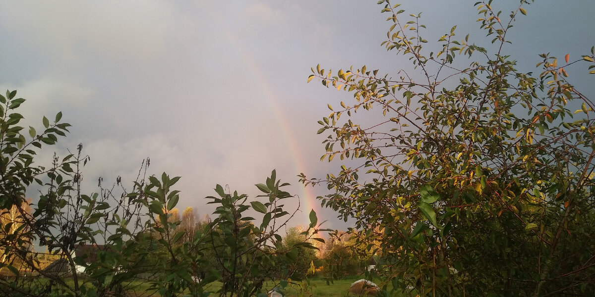 Фото автора. Осень за моим окном.