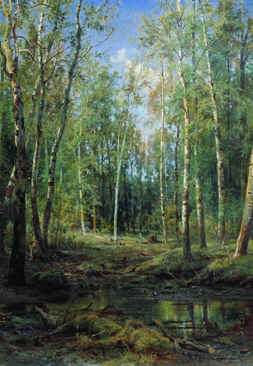 "Березовая роща", И.И. Шишкин, 1875. Полтавский художественный музей.