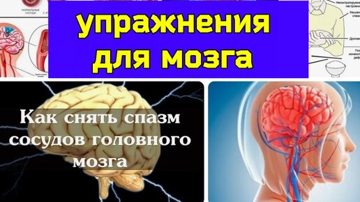 Спазм сосудов мозга, ухудшается память? Анализ упражнений. Как укрепить мозг?