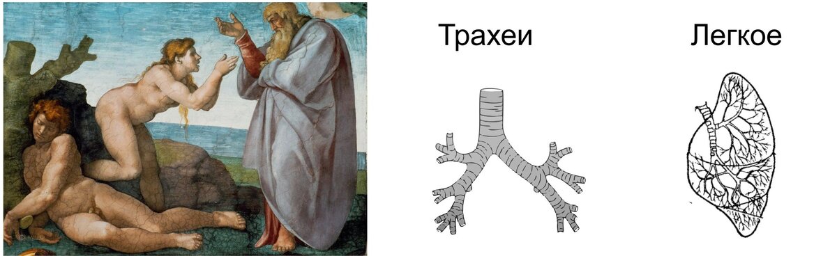 Сотворение Евы