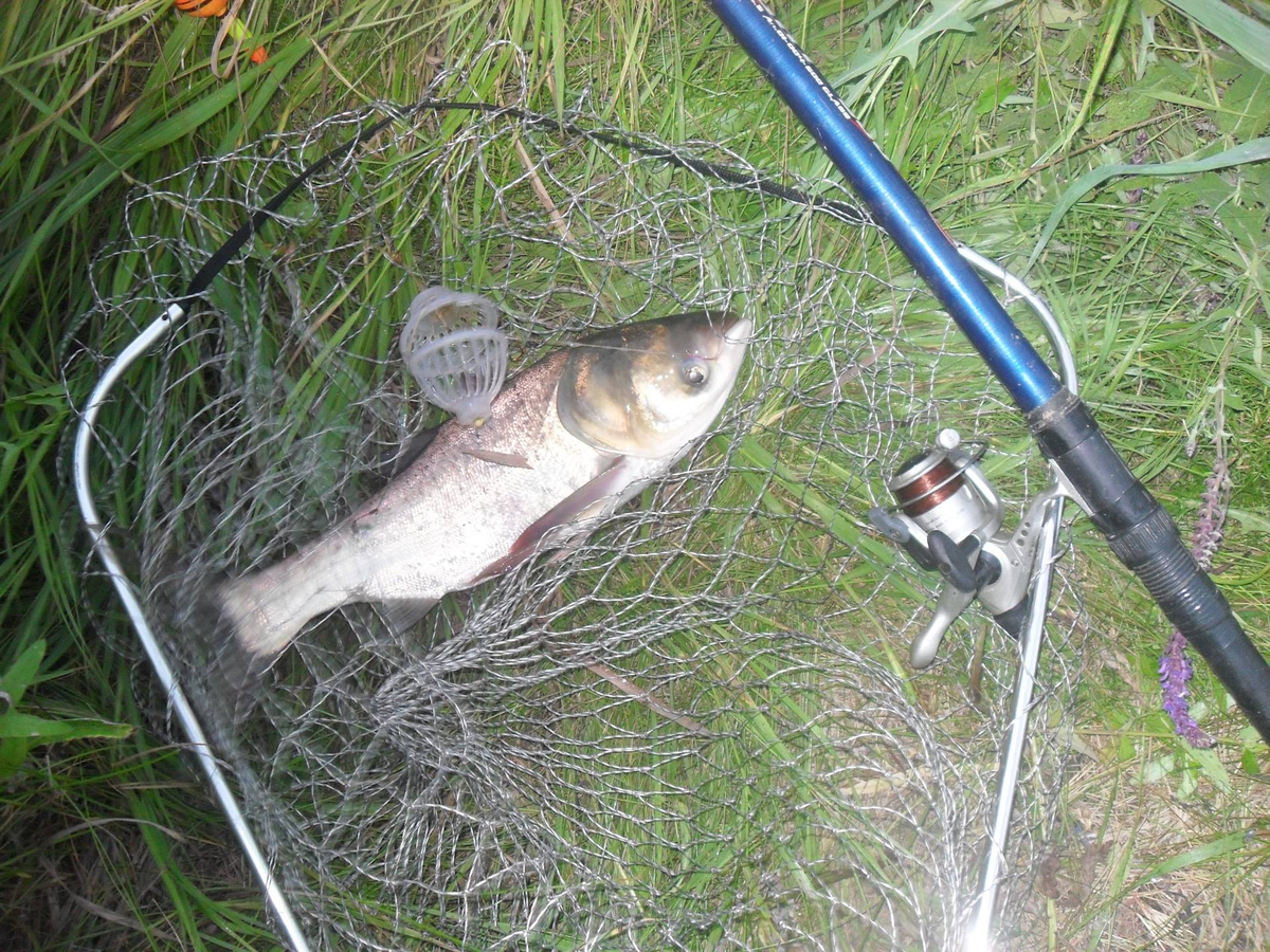 Фото с сайта: https://gruzarf.ru/wp-content/uploads/7/2/7/72741ac8e88b947fcbec28342cfc1822.jpeg