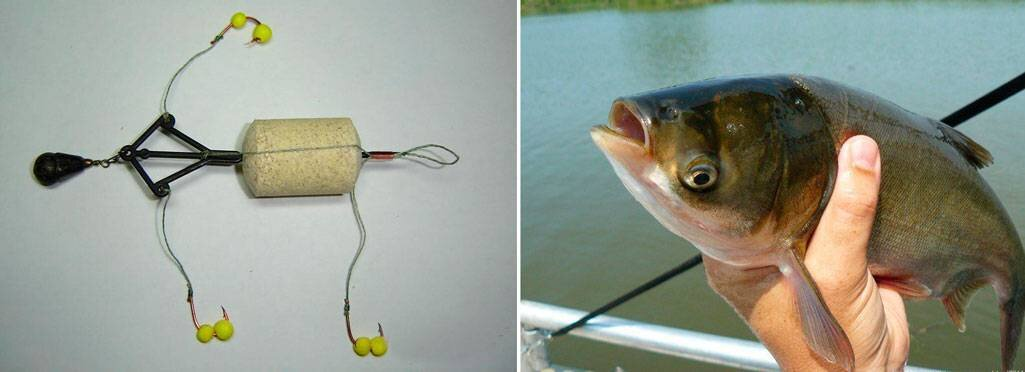 Фото с сайта: https://avatars.dzeninfra.ru