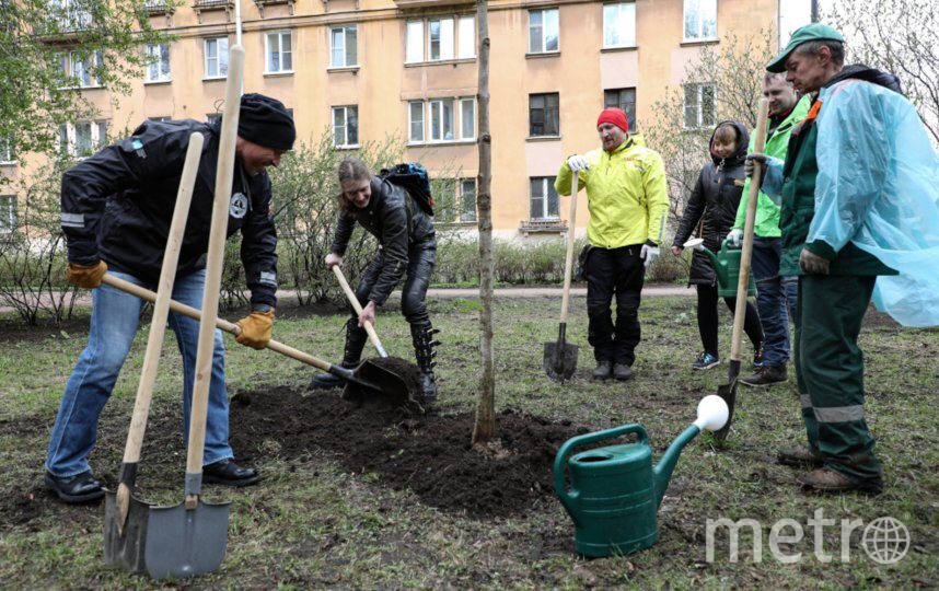    Пресс-служба комитета по благоустройству.