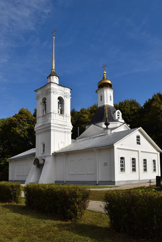 «Белый генерал» М.Д. Скобелев. Как его мифологизировали после смерти и ...