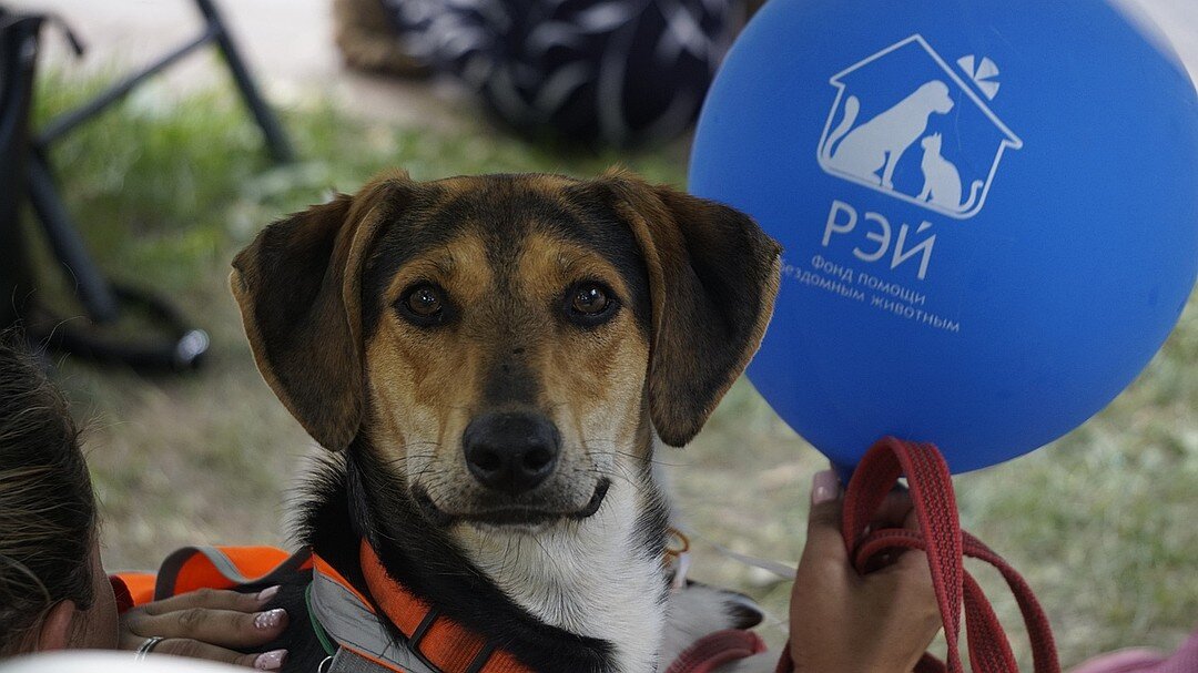 Благотворительный фонд "Рэй"