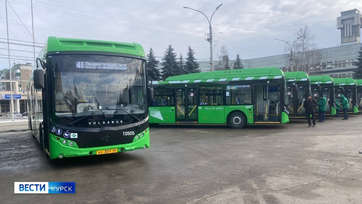 Весь общественный транспорт Курска теперь доступен для бесплатного проезда  льготников | Вести-Курск | Дзен