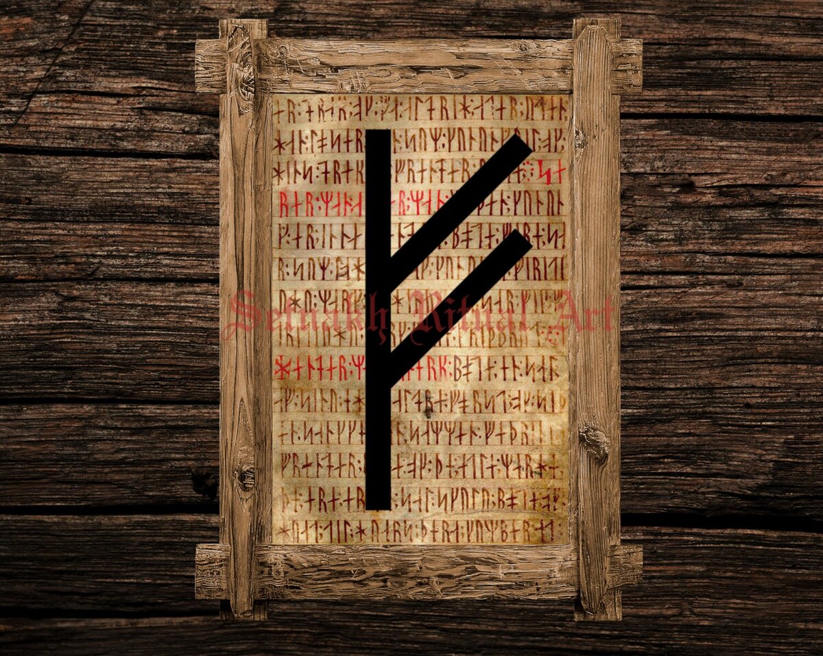 Фото из Интернета.