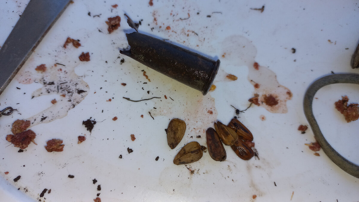 Моя находка. Клеймо ещё не очистил.