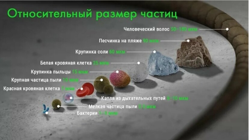 Сравнение размера пыли с другими частицами. Источник: бризекс.рф