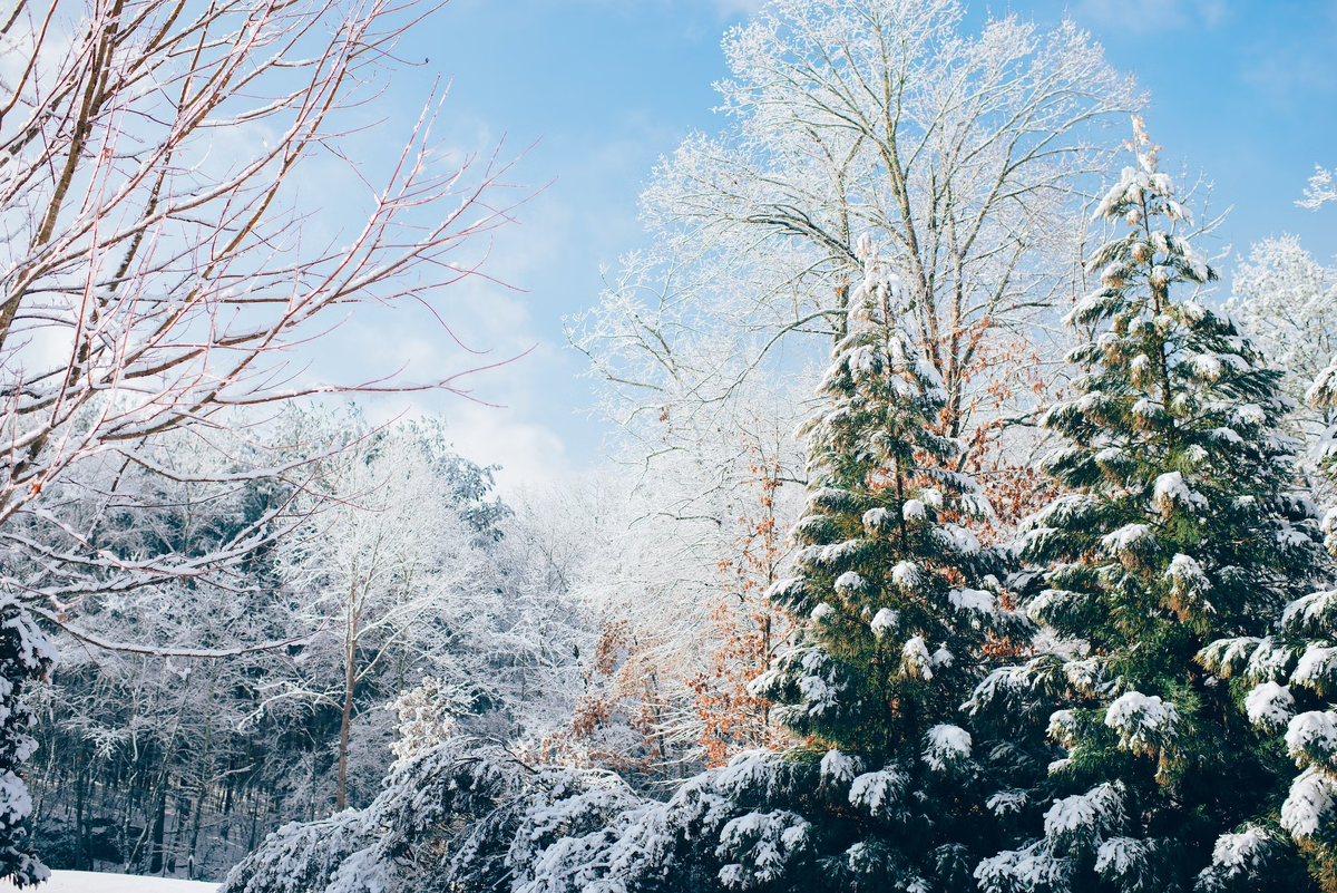 Фото: https://unsplash.com/photos/dqMxDqdhg_4?utm_source=unsplash&utm_medium=referral&utm_content=creditShareLink