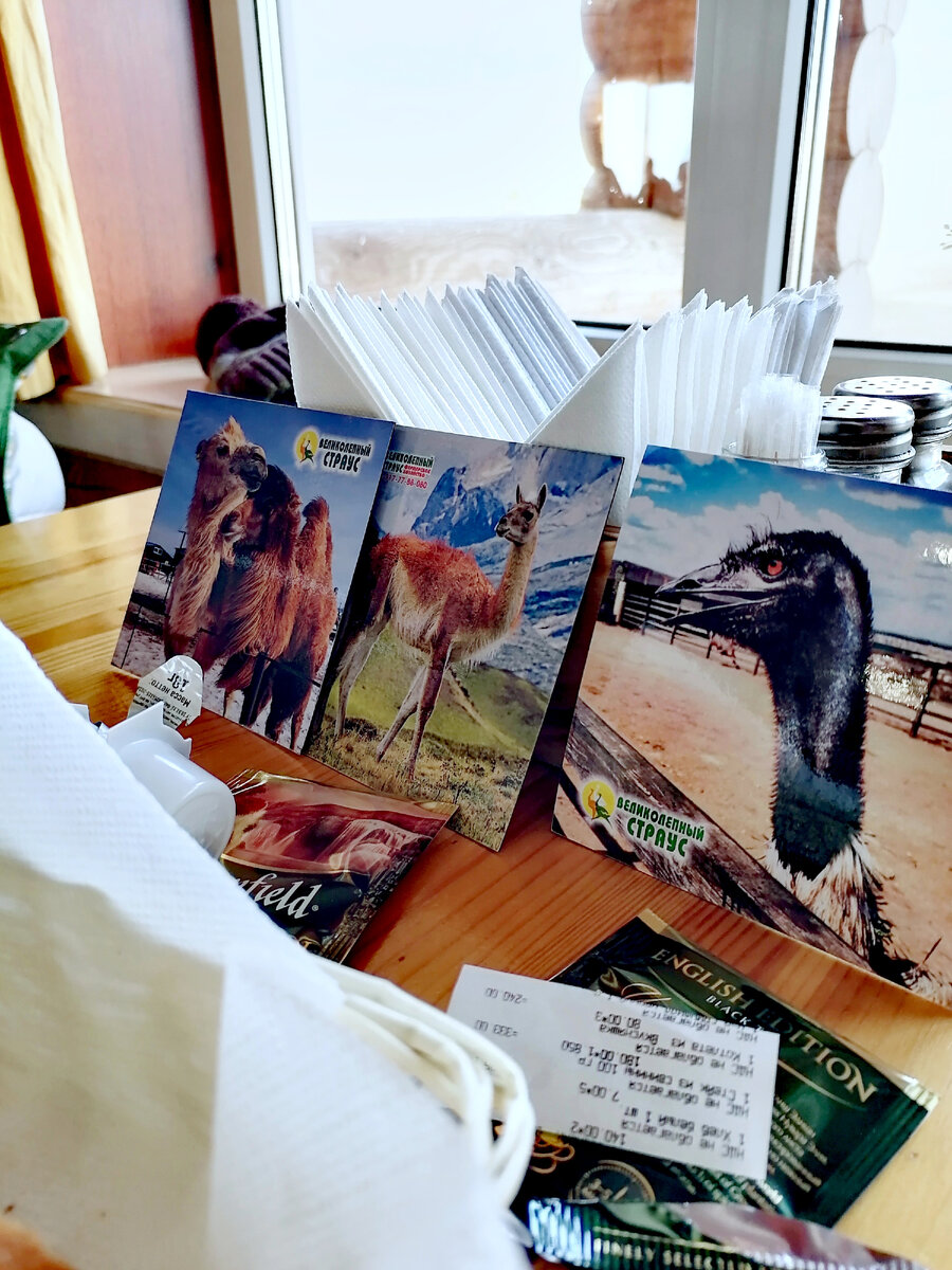 Магнитов набрали, чтобы детки вспоминали 