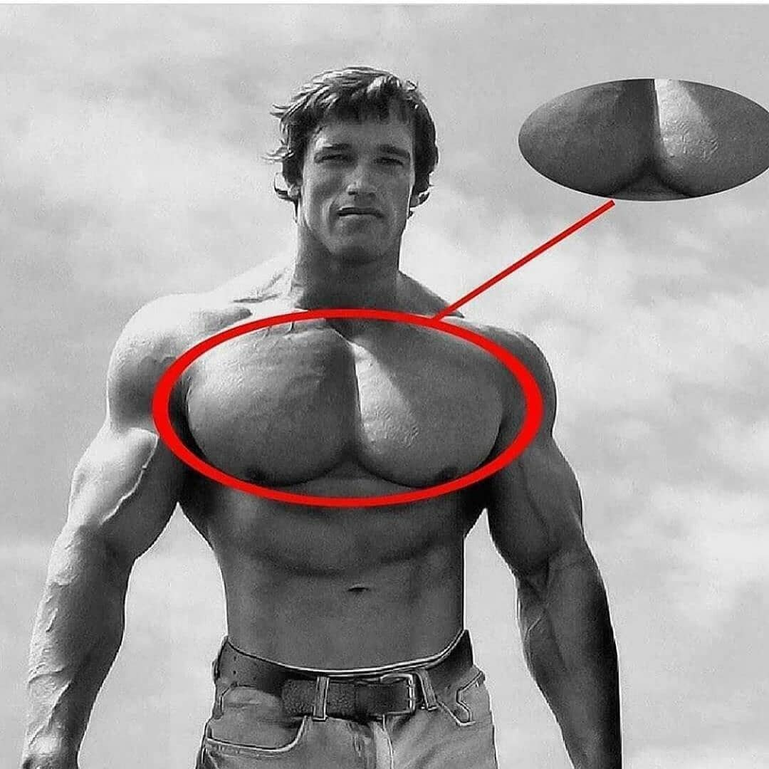 рост мышц груди у мужчин фото 17