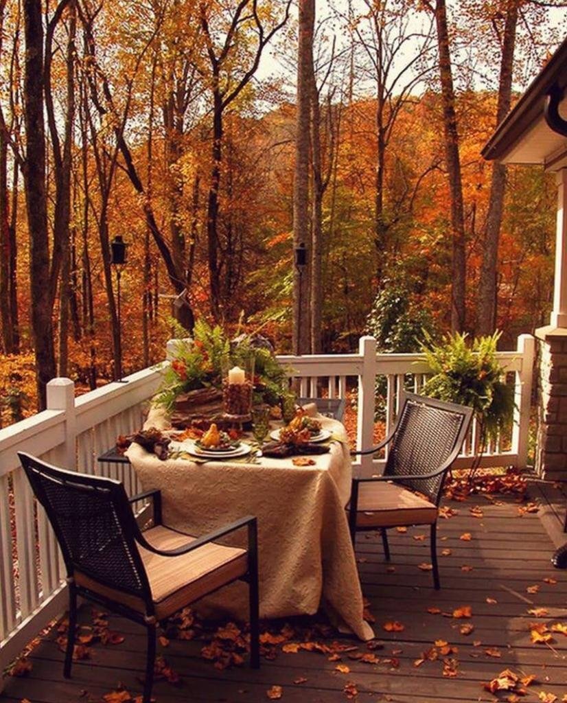 Даже залетевший на террасу лисья могут стать элементами декора