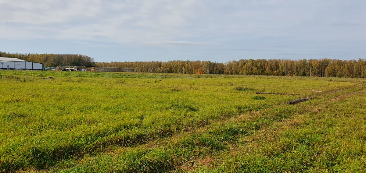 На этой поле к весне вырастет новое стальное здание.