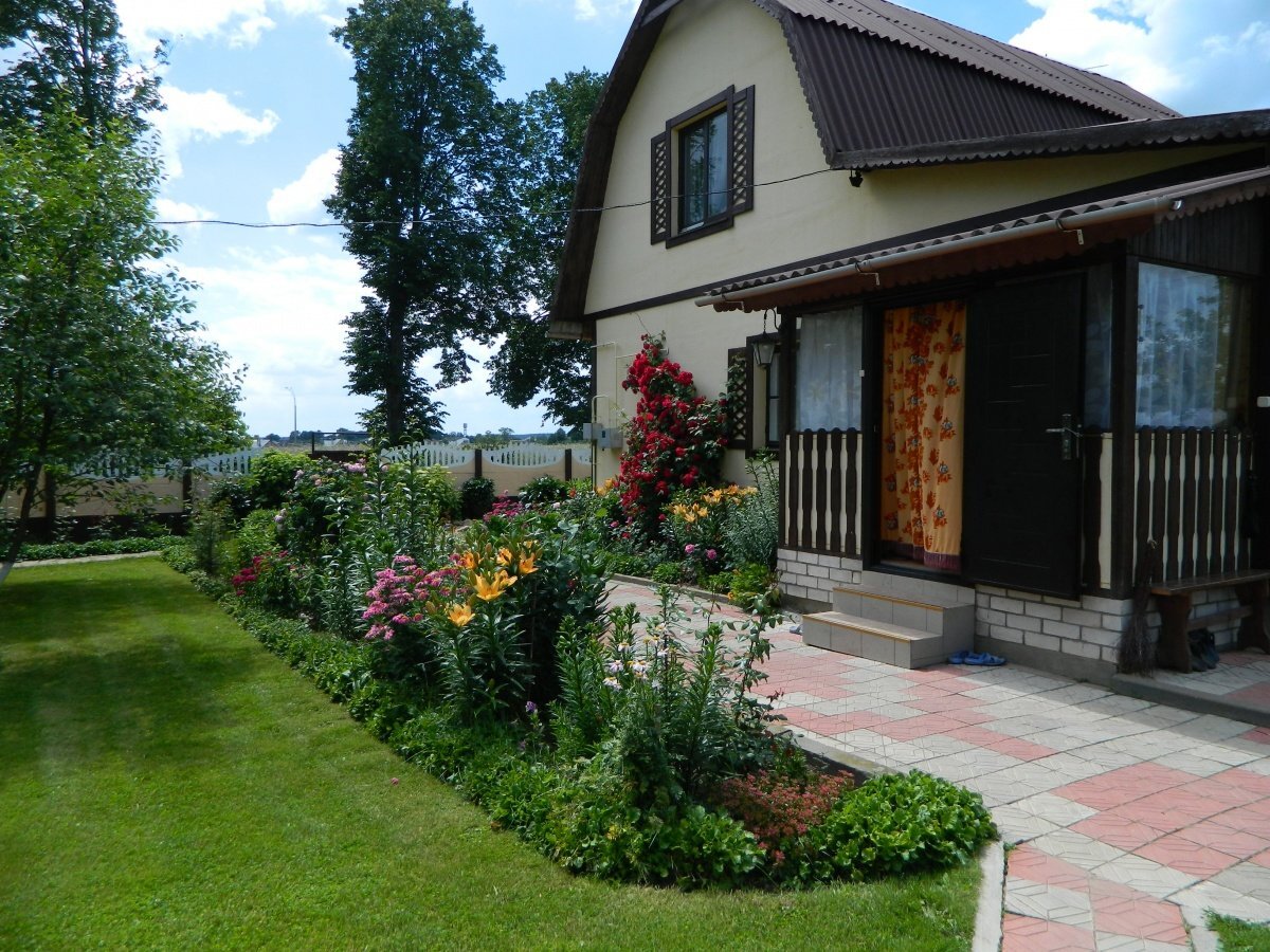 Яндекс. Картинки