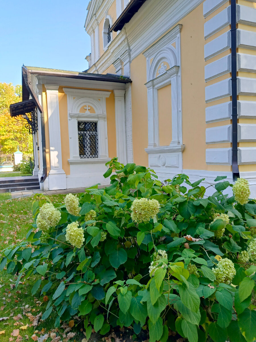 Фото автора канала