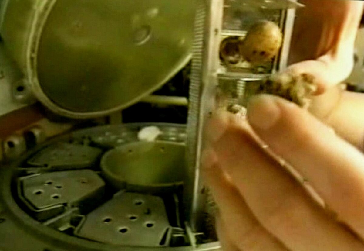 SFERA – Pro Космос – Поставьте лайк...