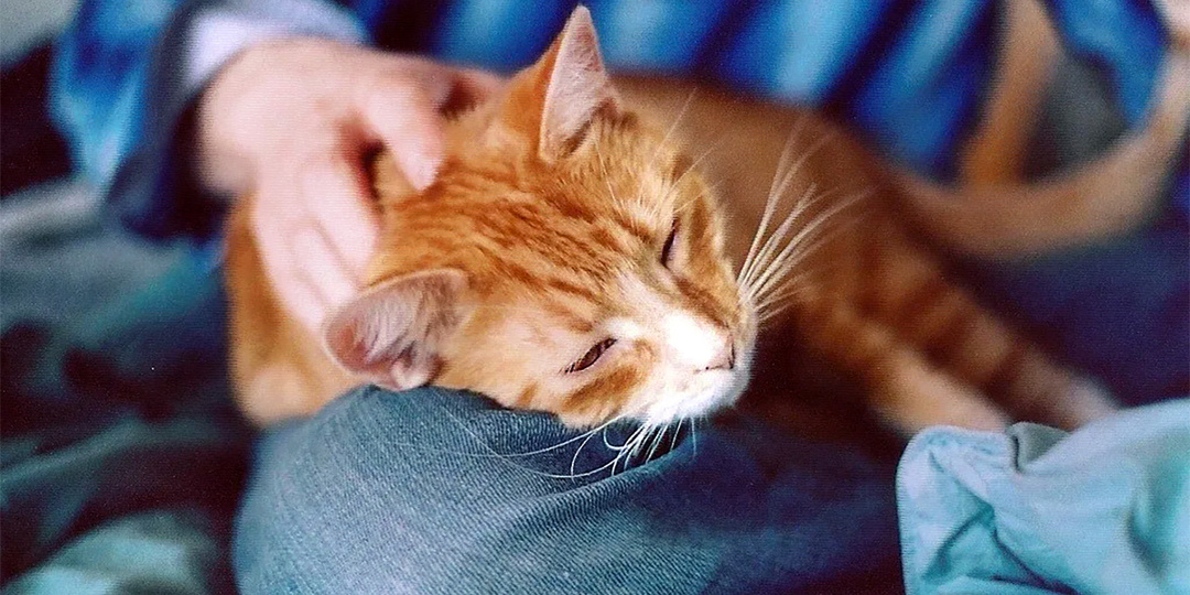 Сердце Маруси