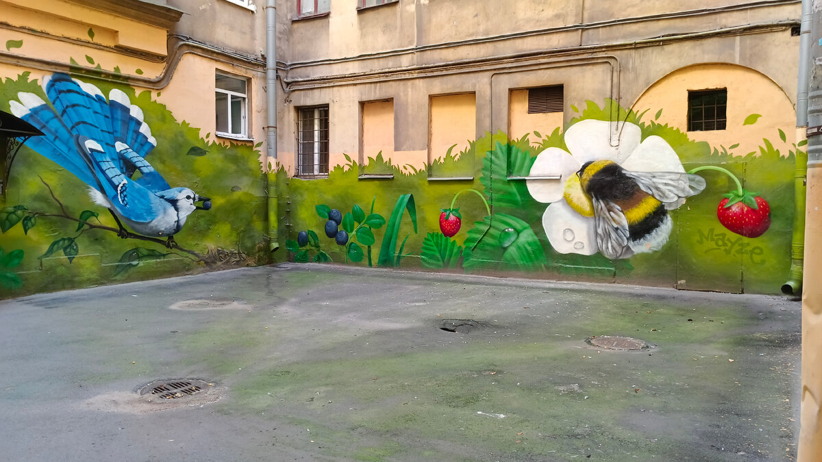 Где-то в Питерском дворе.