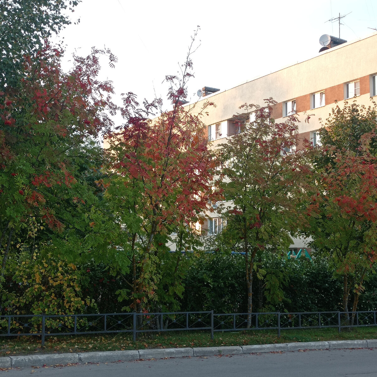 Красота на улице