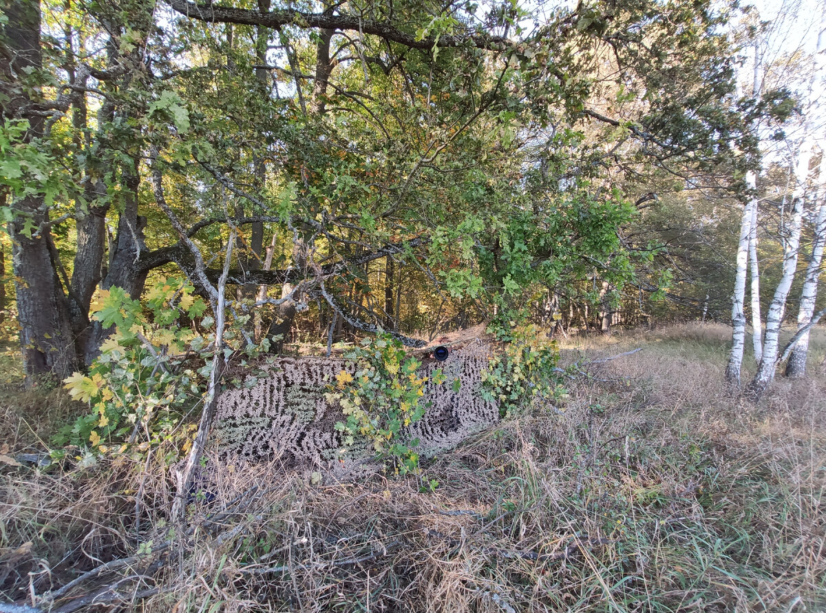 Видите нас?