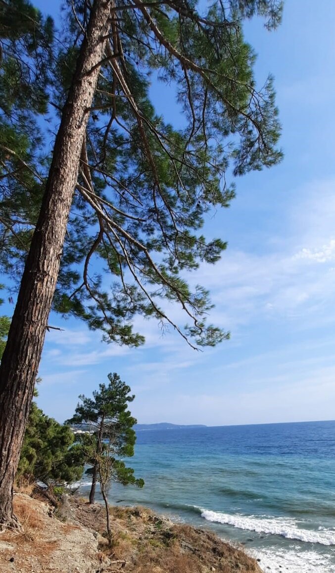 пожалуй лучшее сочетание - морской воздух и сосны