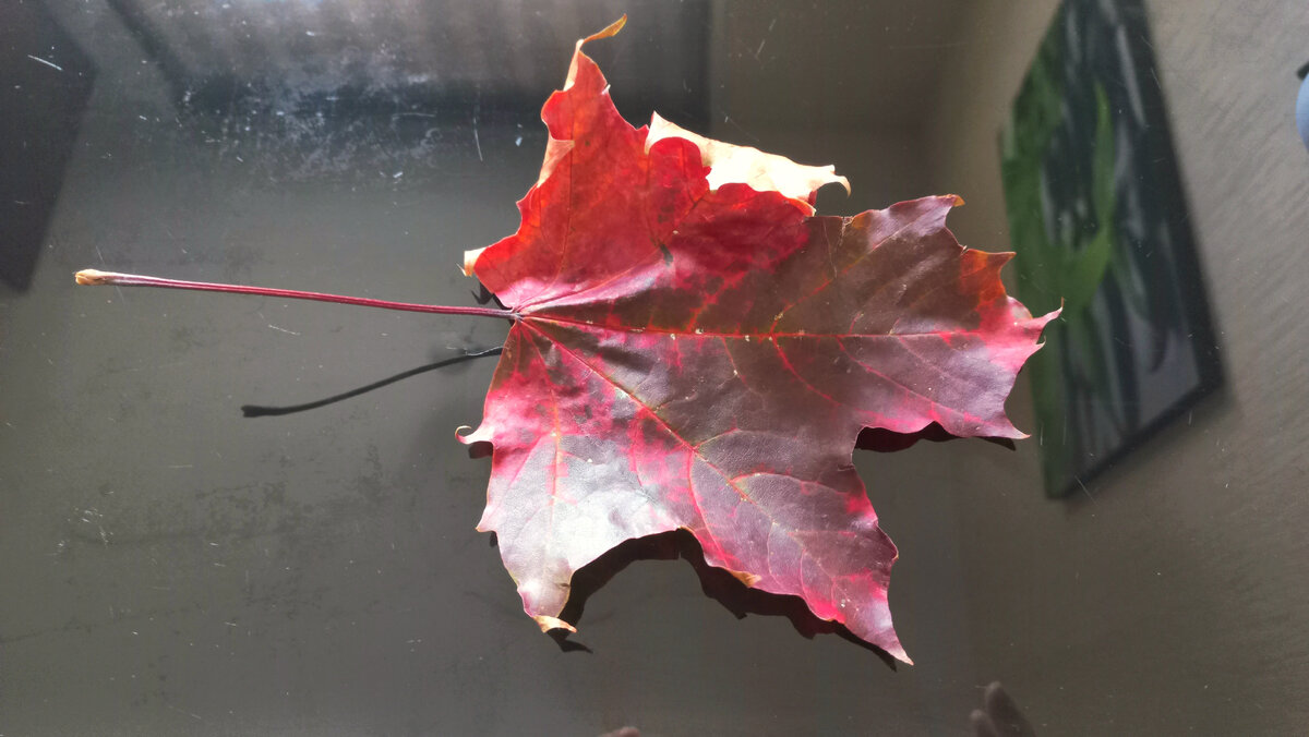 Фото автора.