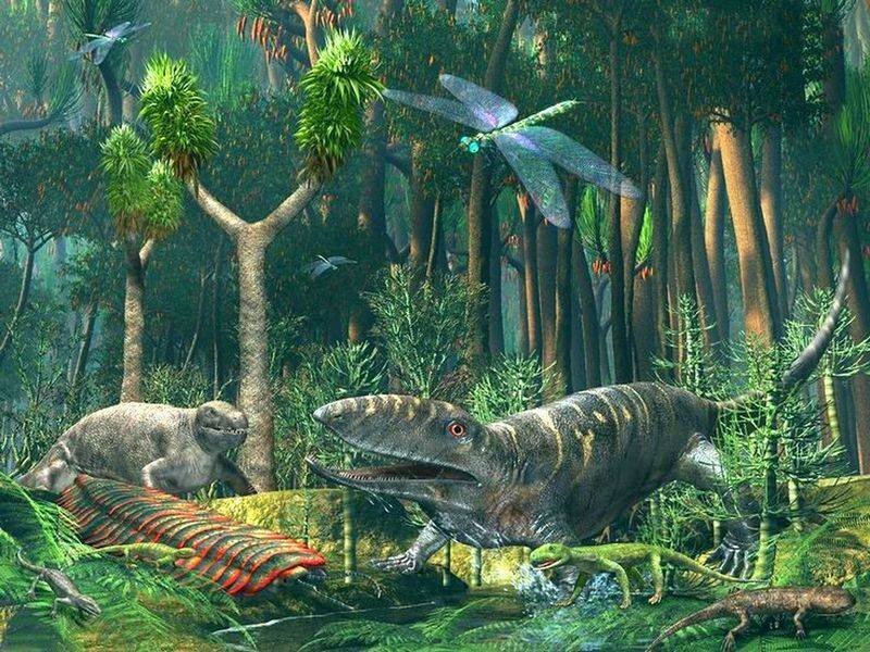 Конец карбона