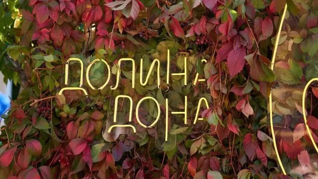     В Ростове в субботу организуют винный фестиваль «Долина Дона», сообщили в правительстве региона.