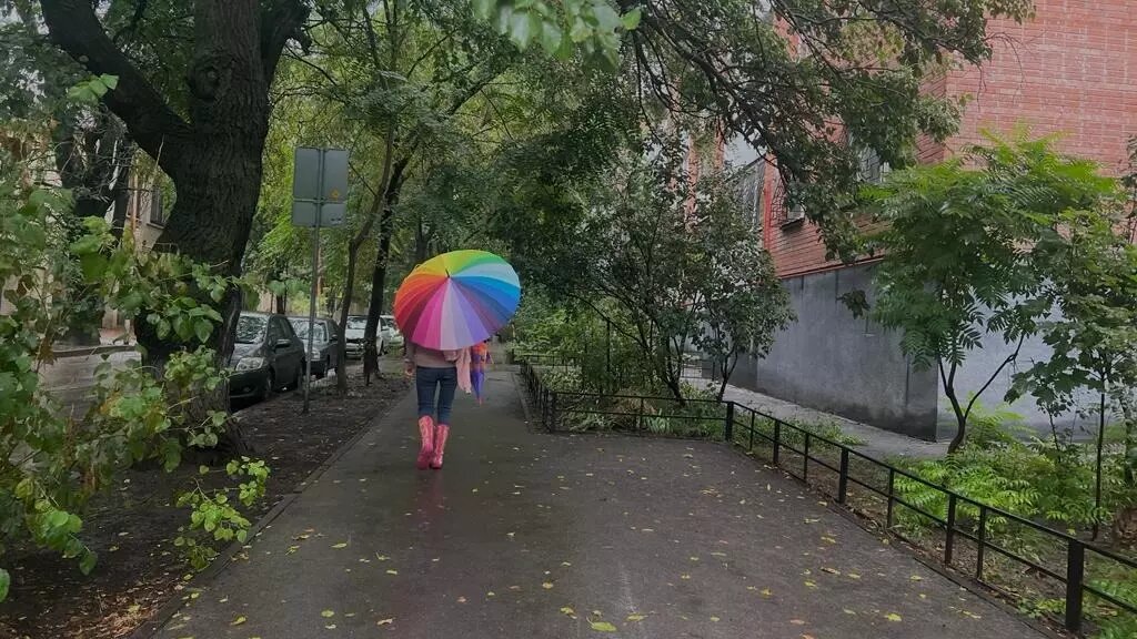     «Бабье лето» в скором времени сменится проливными ливнями в Ростовской области, заявил климатолог Александр Иошпа.