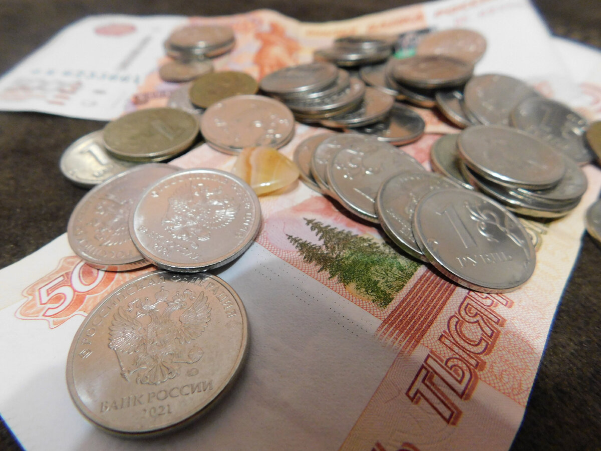 Работать за копейки и страдать. Фото автора. 