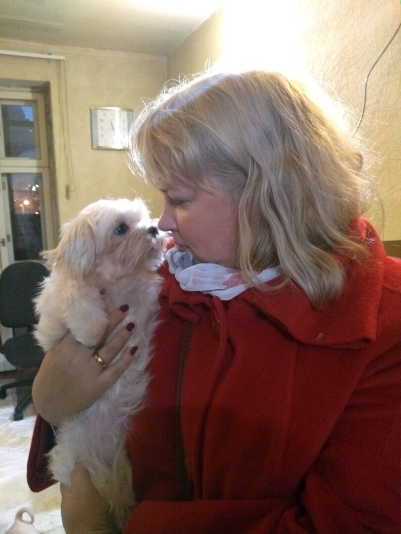 Первое знакомство, 2018 г