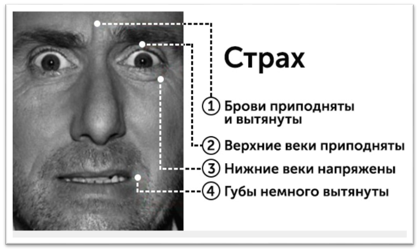 Ваша основная эмоция. Пол Экман эмоции страх. Пол Экман микровыражения лица. Пол Экман мимика страх. Эмоции тим рот удивление пол Экман