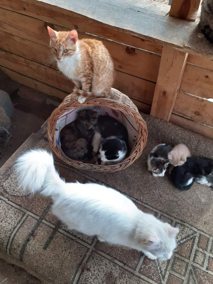 -2