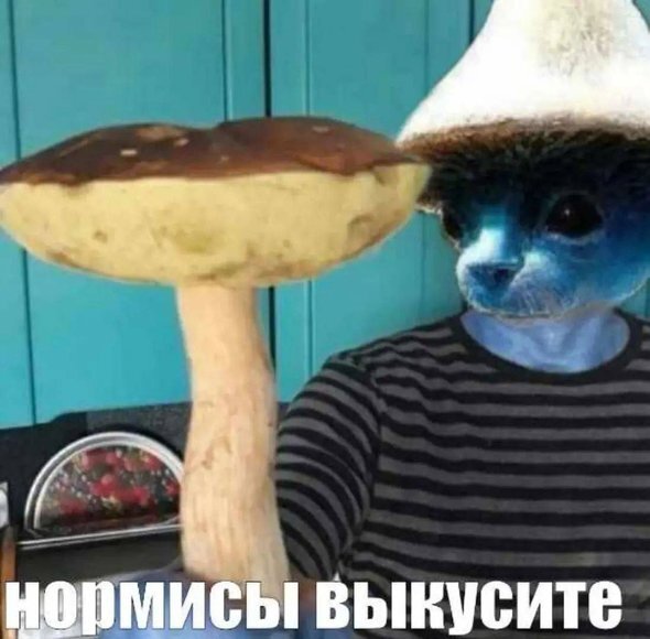    Фото: соцсети