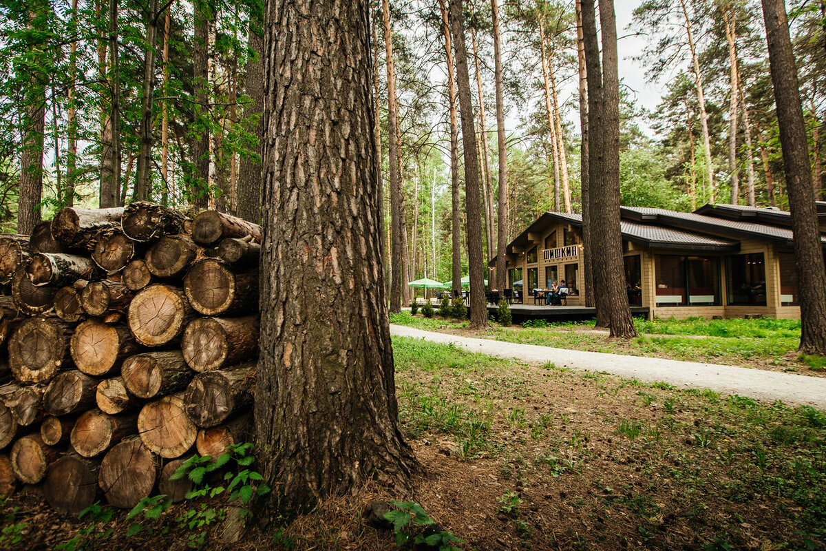 Чкаловские Дачи, Новосибирск