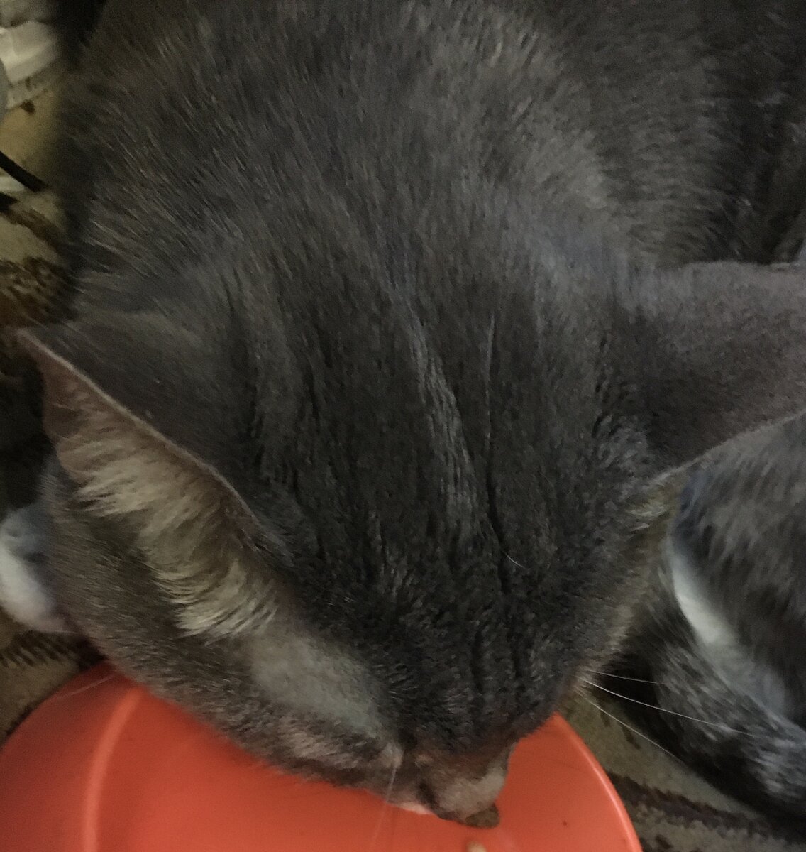 Личное фото 