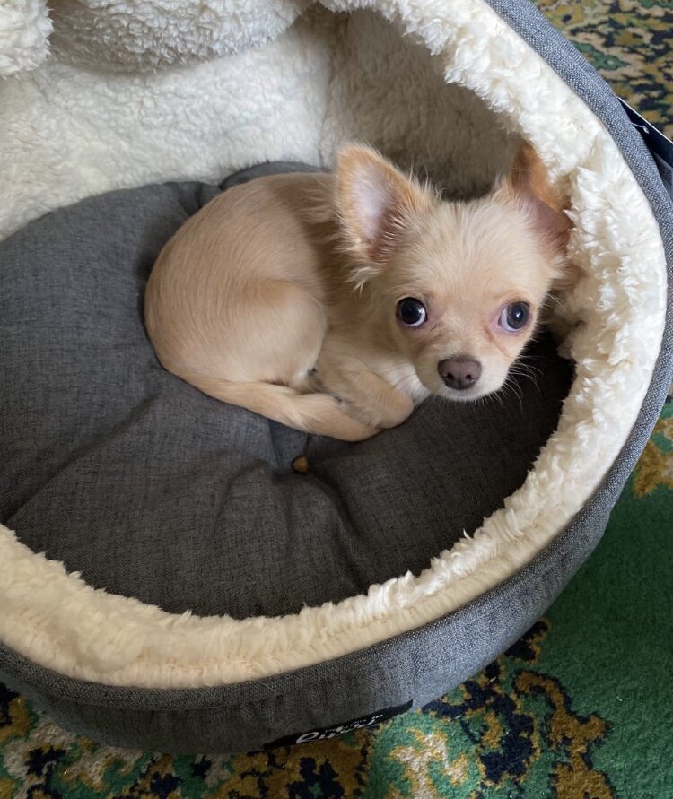 Личное фото 