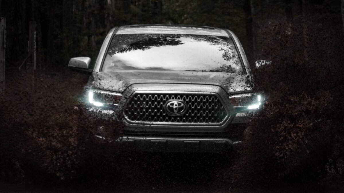    Фото: Unsplash Август Макаров