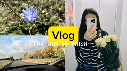 Vlog: работаем, болтаем, делаем дела✨