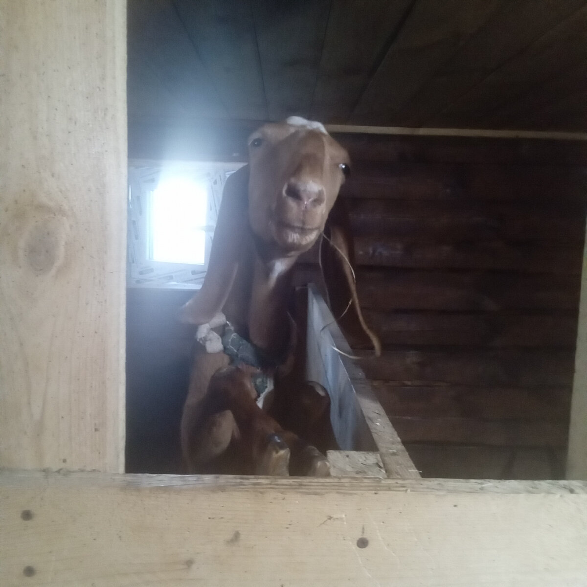 Фото автора. 