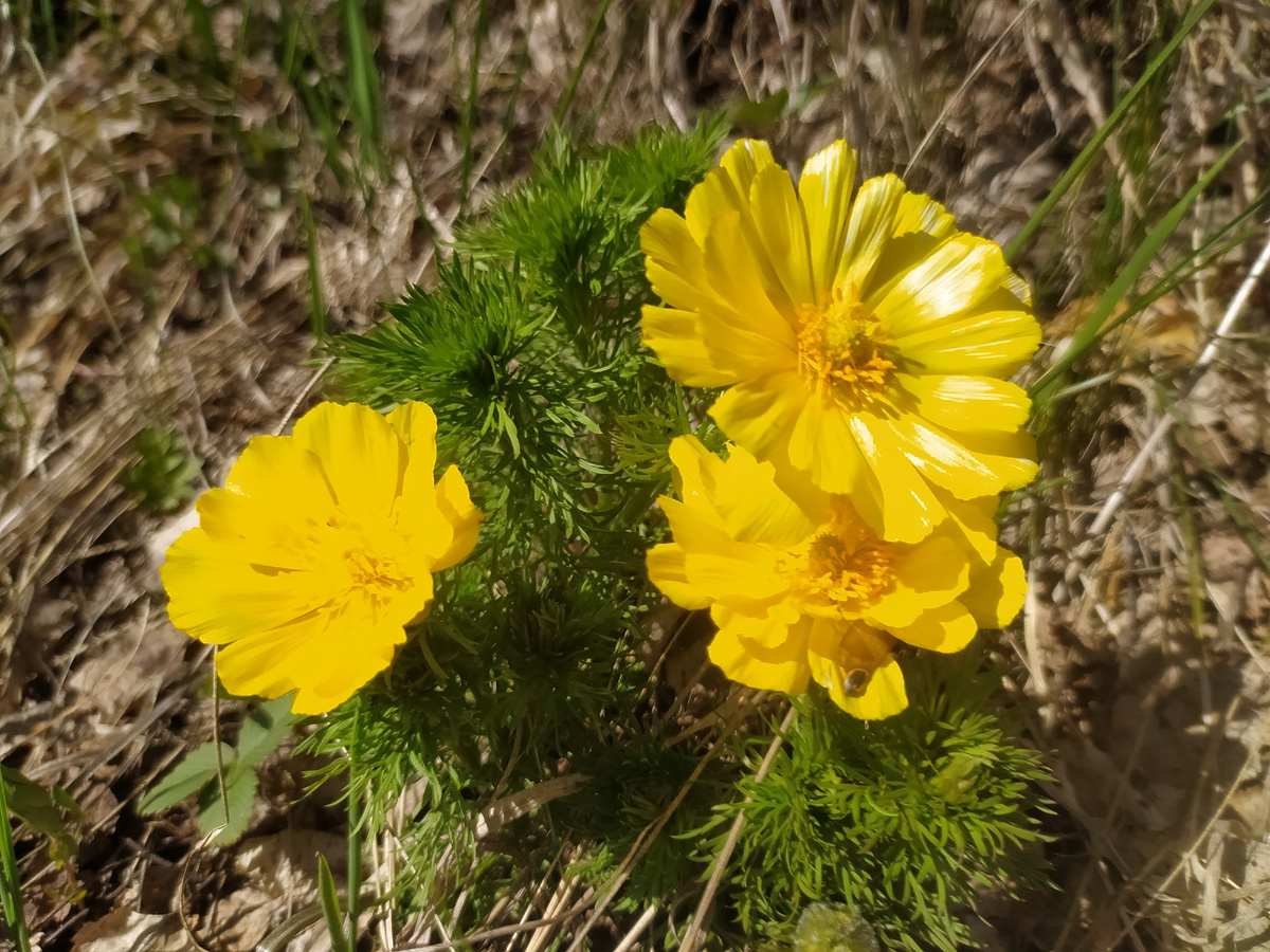 мозг мышление. любознательный ребенок. рассеянные мысли. ребенок думает. рассеянные мысли.