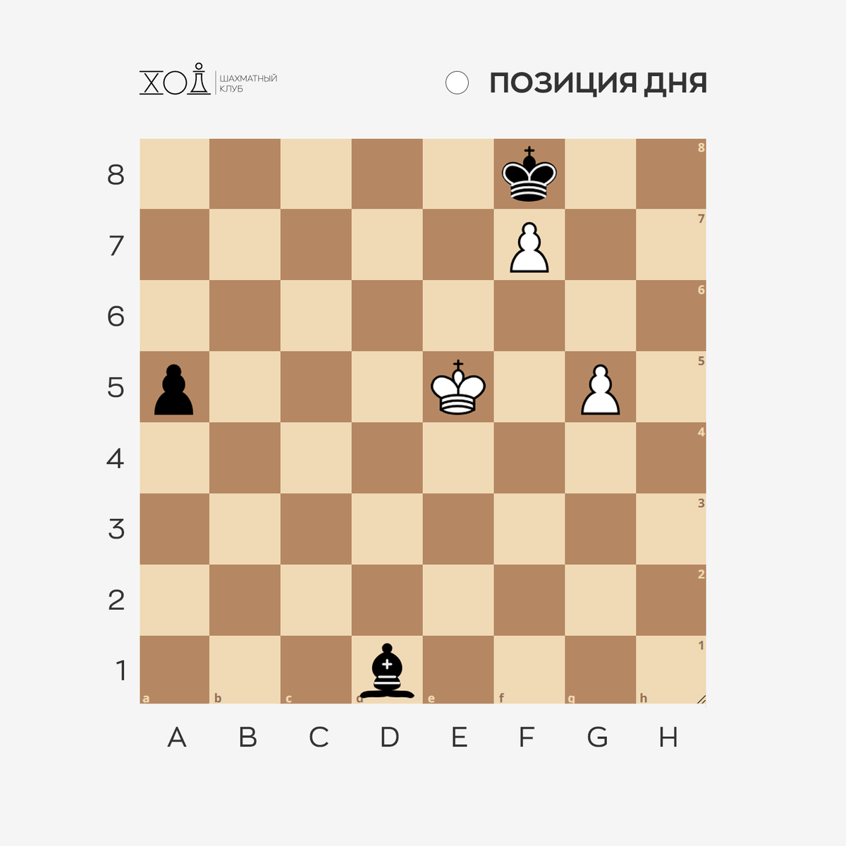 Шахматы в Пятигорске