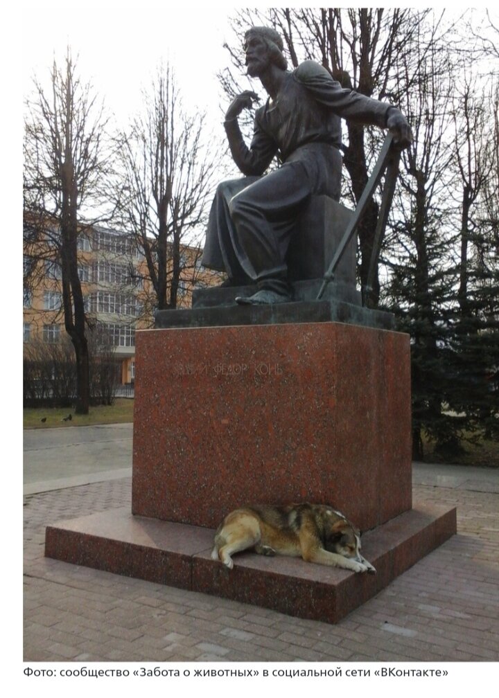Фото сообщества Заботы о животных