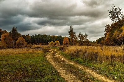    Осень в лесу © Пресс-служба Комитета лесного хозяйства Московской области