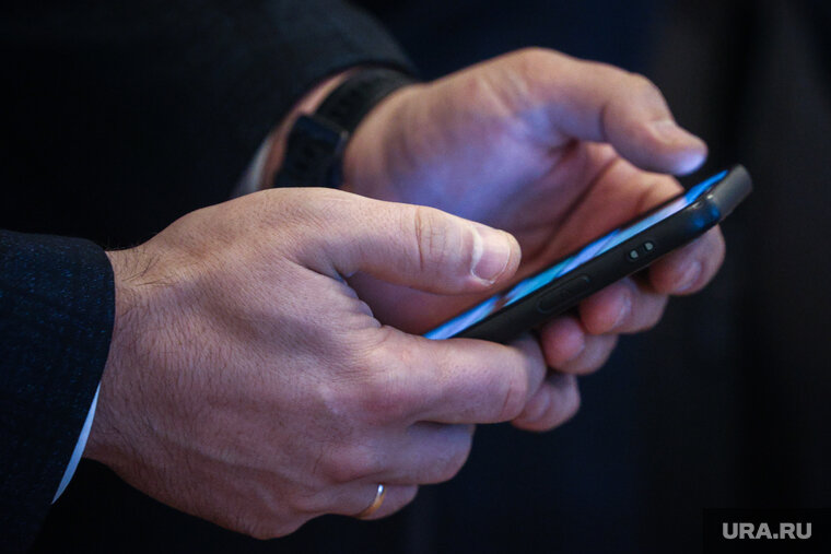    Мошенники рассылали сообщения от имени Ирины Новоселовой (фото из архива)