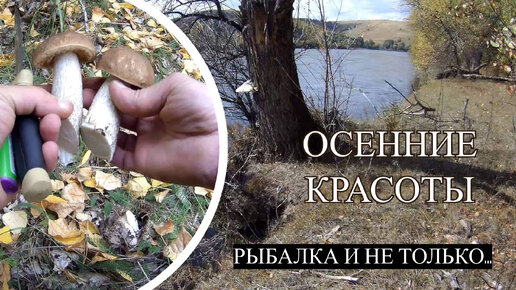 Не наловили зато нарезали#Осенние красоты в районе с.Лугавское