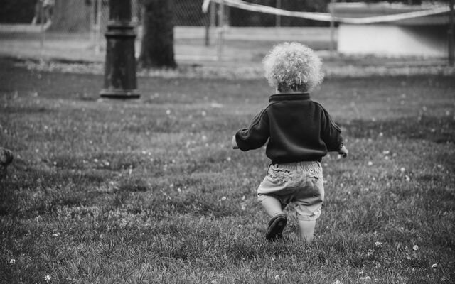 Фото из открытых источников.