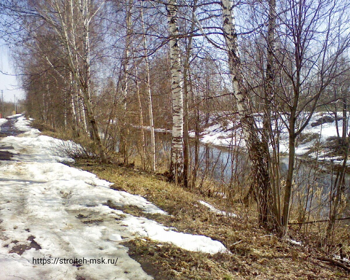 Фотография из свободных источников интернета